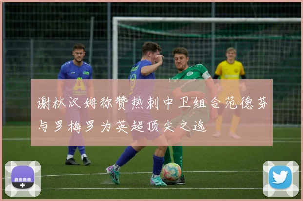 谢林汉姆称赞热刺中卫组合范德芬与罗梅罗为英超顶尖之选