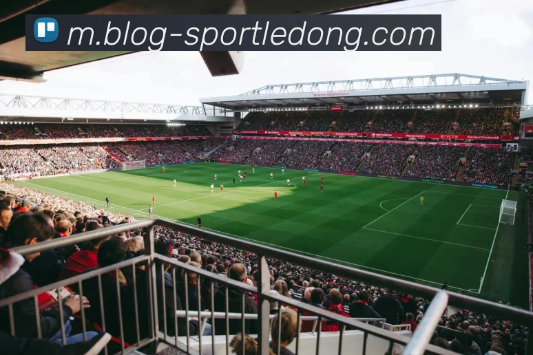 乐动体育服务体系